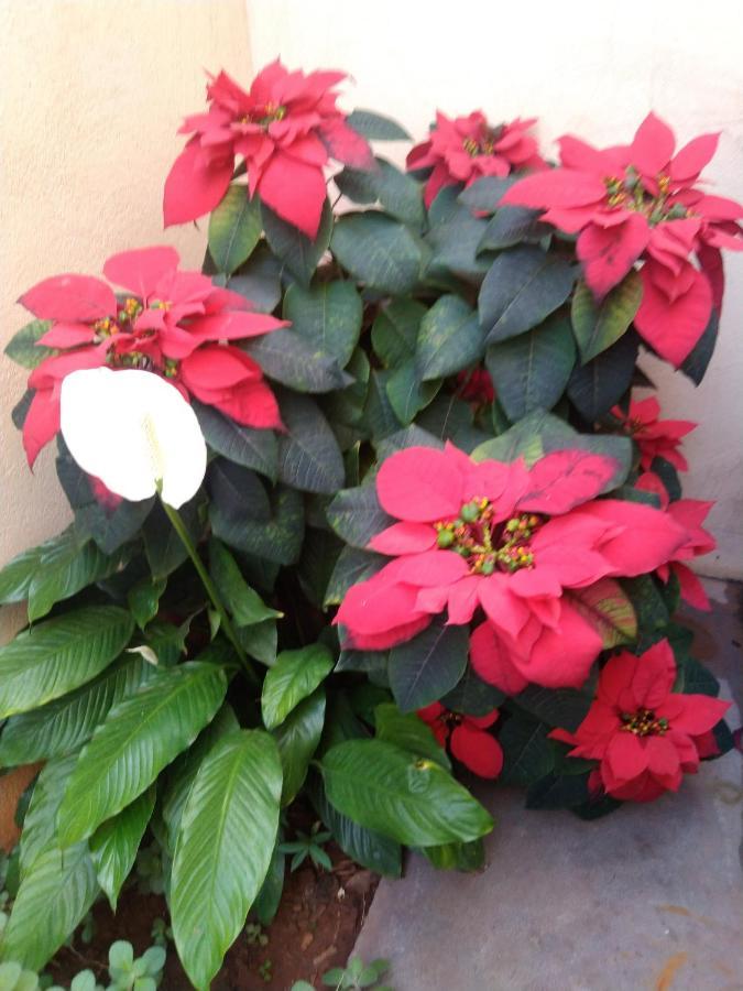 Casa De Temporada Recanto Remanso Holiday home